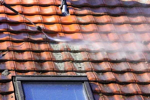 Nettoyage et démoussage de toiture , Niort, DUPUIS Moise